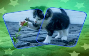 Cat Puzzle Memory Match – Cat Card Game