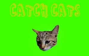 Catch Cats – Fast Reflex Cat Clicker Game